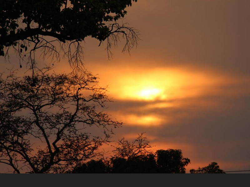 Sunset over the forest
