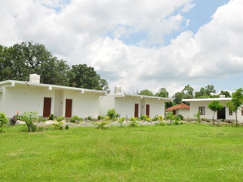 Cottages across the lawn