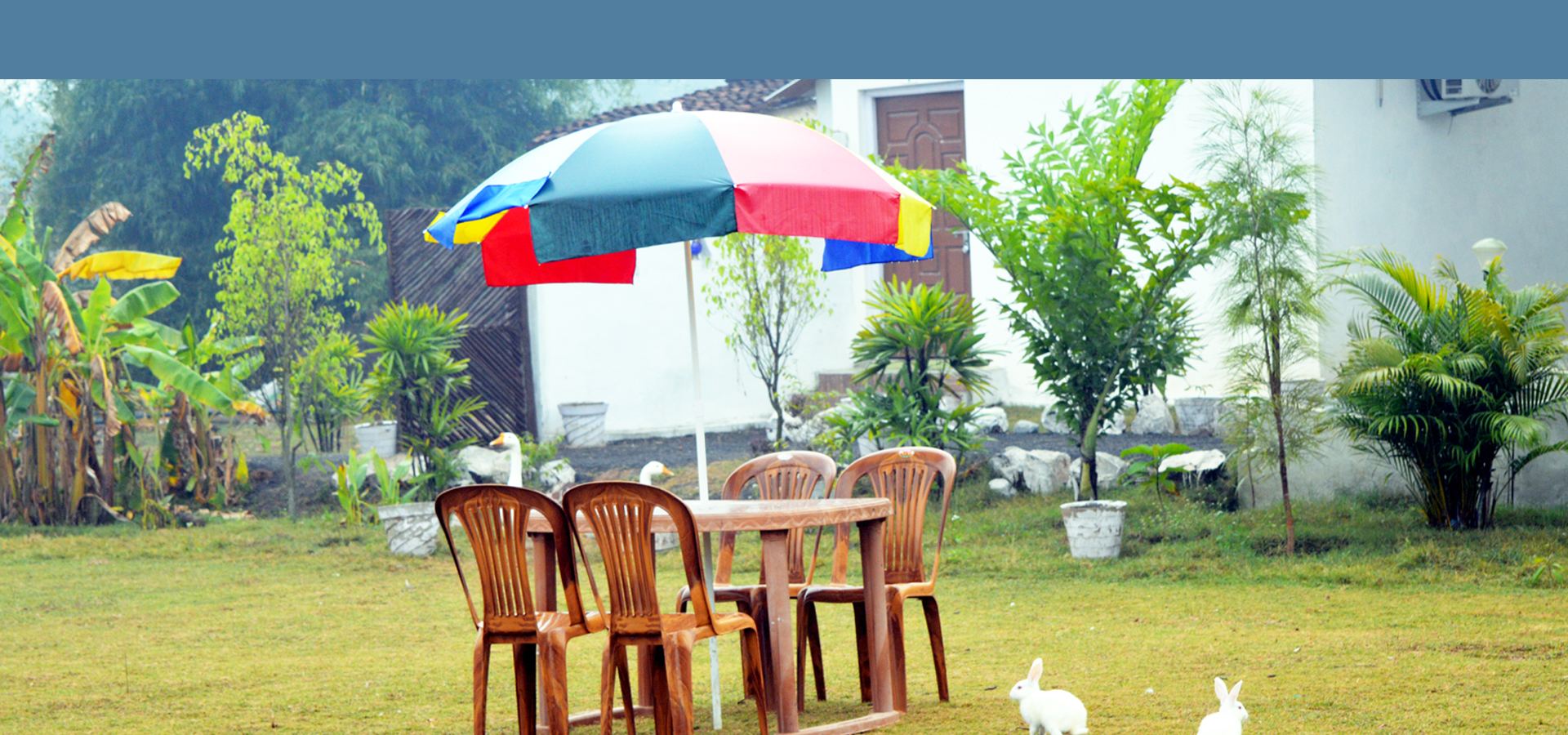 Garden seating on the lawn