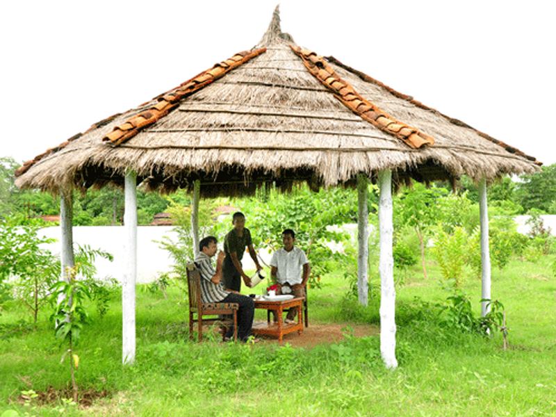 Thatched gazebo in the garden
