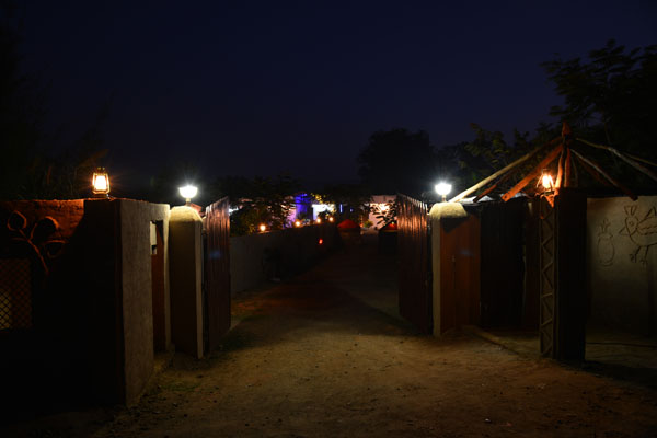 Lit pathway at night