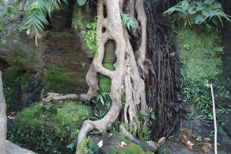Ancient caves, Bandhavgarh