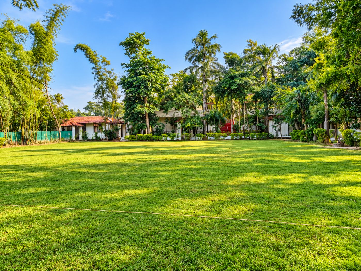 Green lawn with bamboo and palms