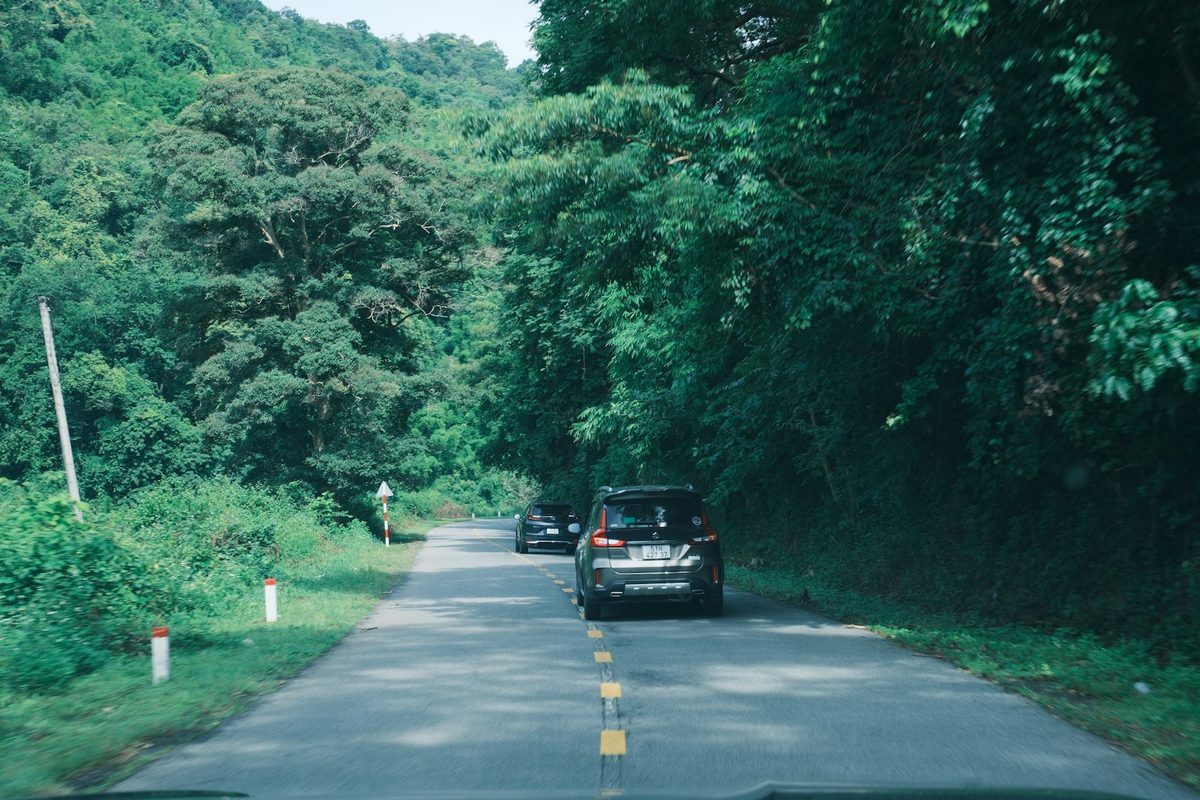 Car on a road through green forest